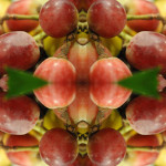 healthness_dobar_roma (20)